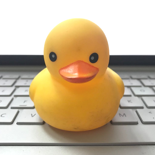 JudgeDuck